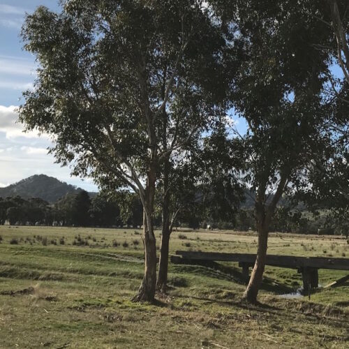 farm 1